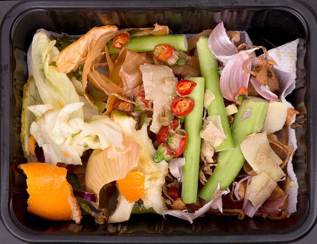 Composting Kitchen Waste