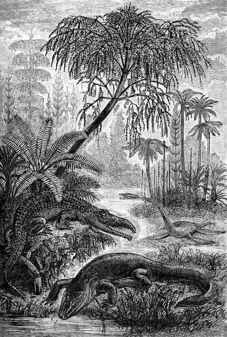 Triassic world,19th C illustration