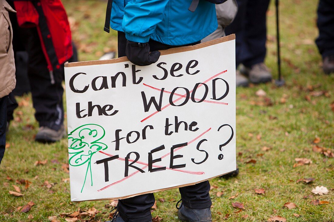 Protest against public forest selloff,UK