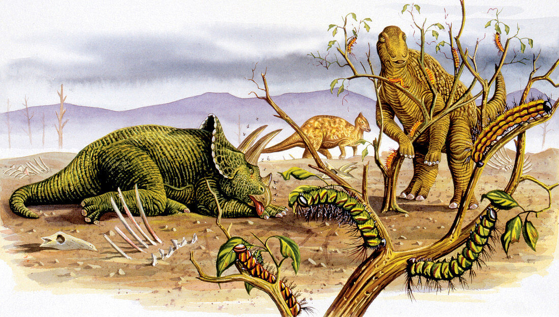Herbivorous dinosaurs,illustration