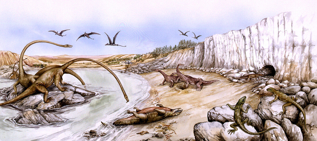 Prehistoric landscape,illustration