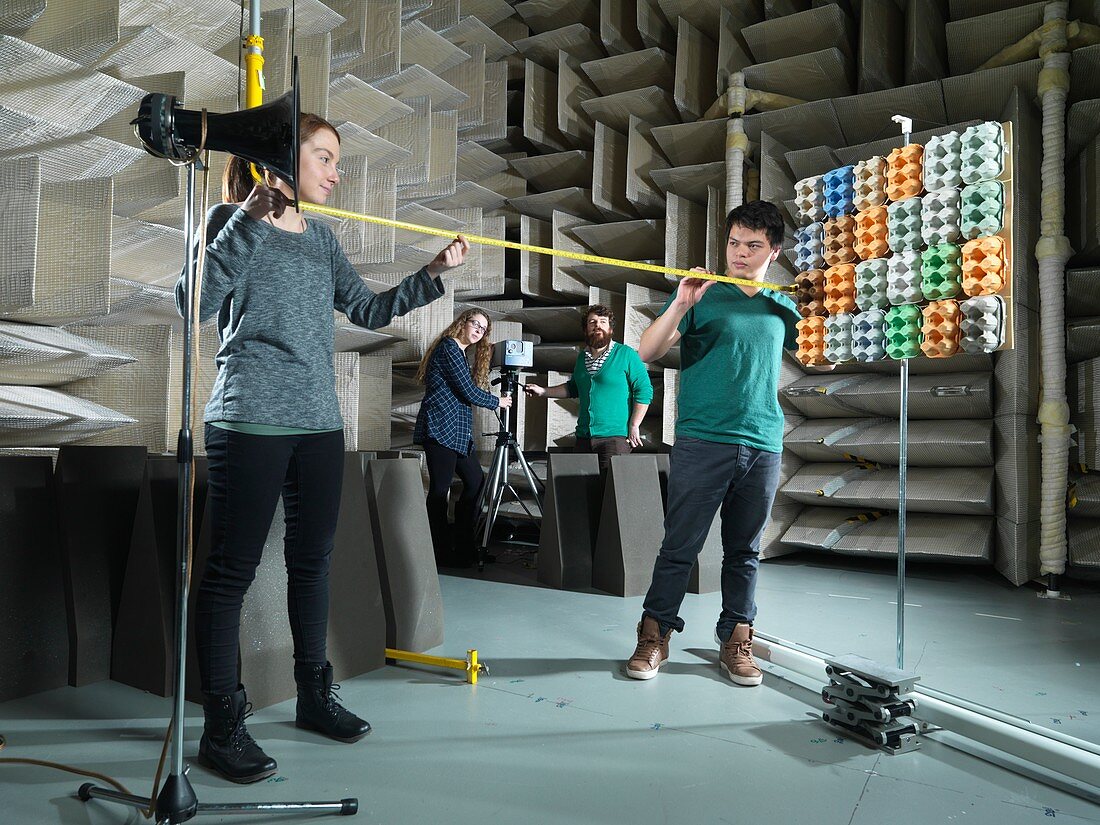 Hemi-anechoic chamber research