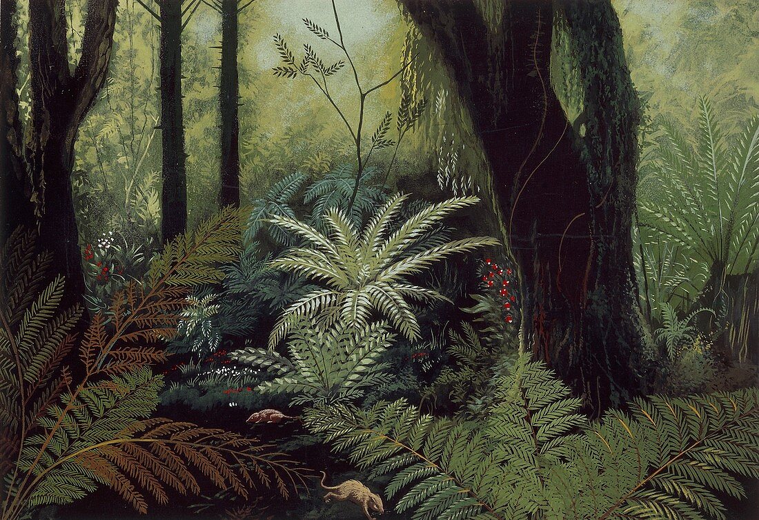 Prehistoric forest,illustration