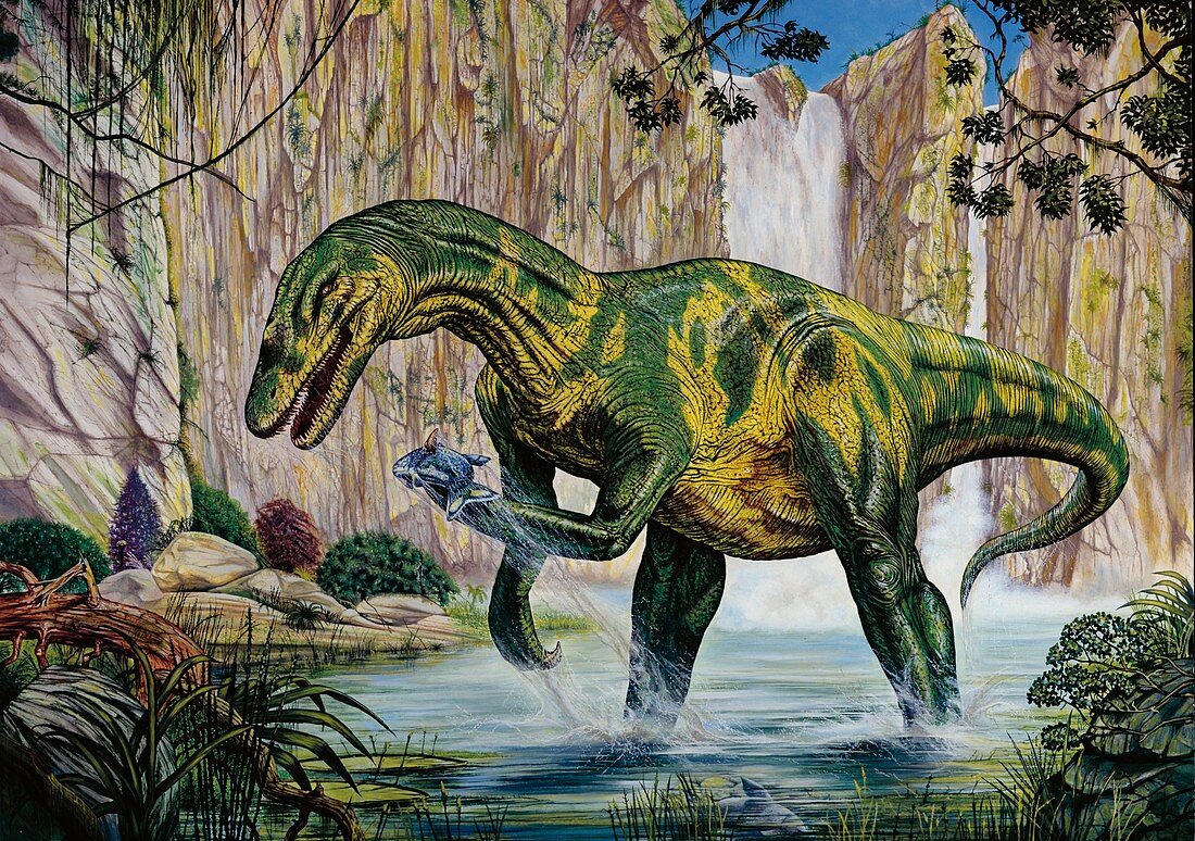 Baryonyx dinosaur fishing,illustration