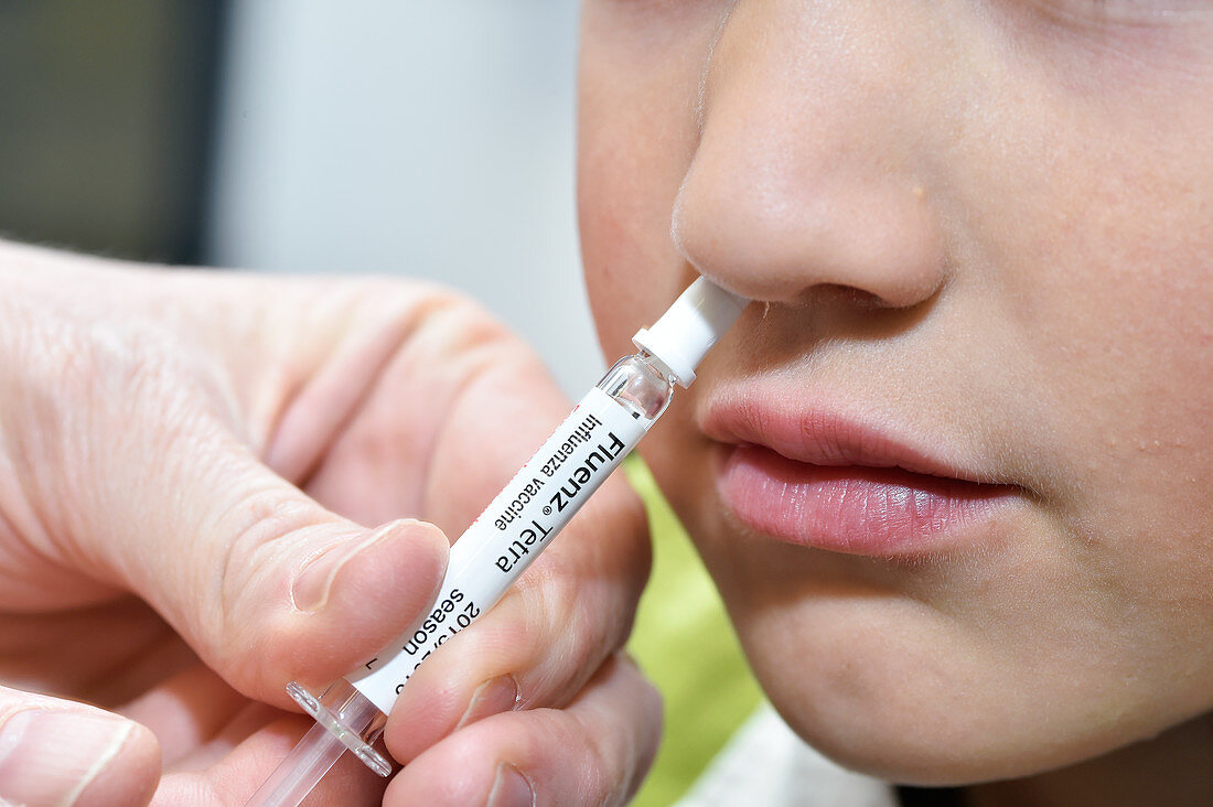 Nasal spray seasonal flu vaccine