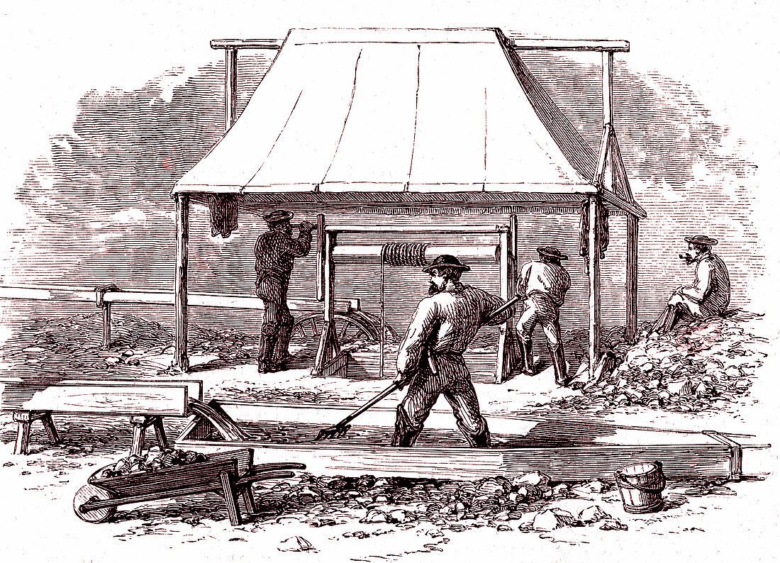 Gold miners,19th Century illustration