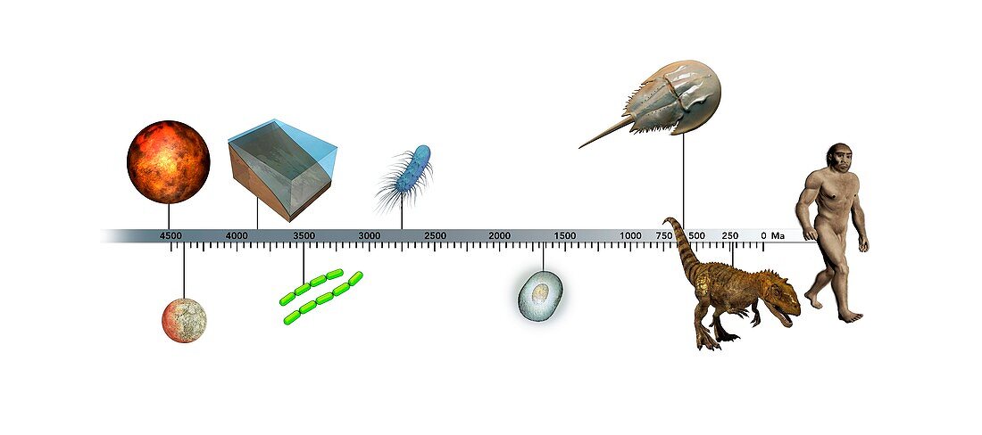 Evolution of Earth timeline,illustration