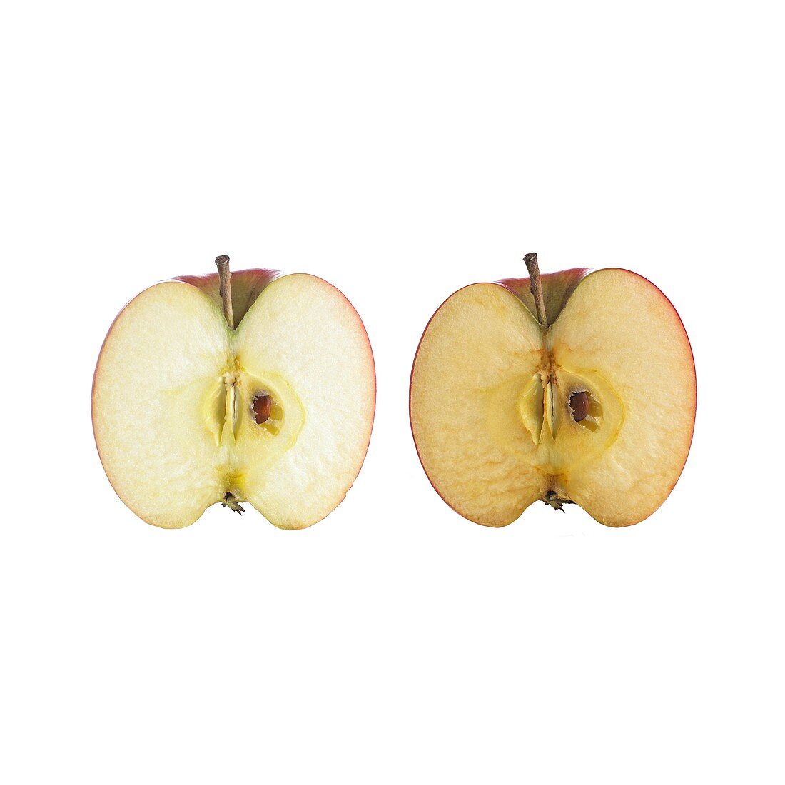 Cut apple