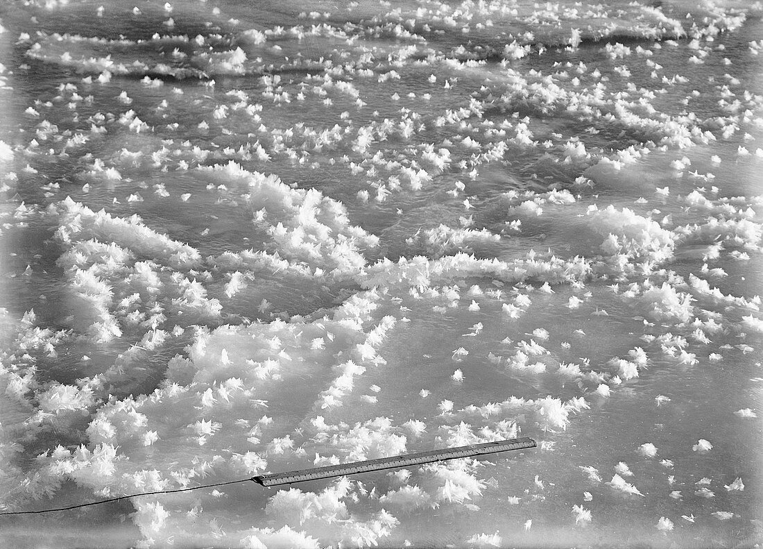 Ice crystals on Antarctic ice,1912