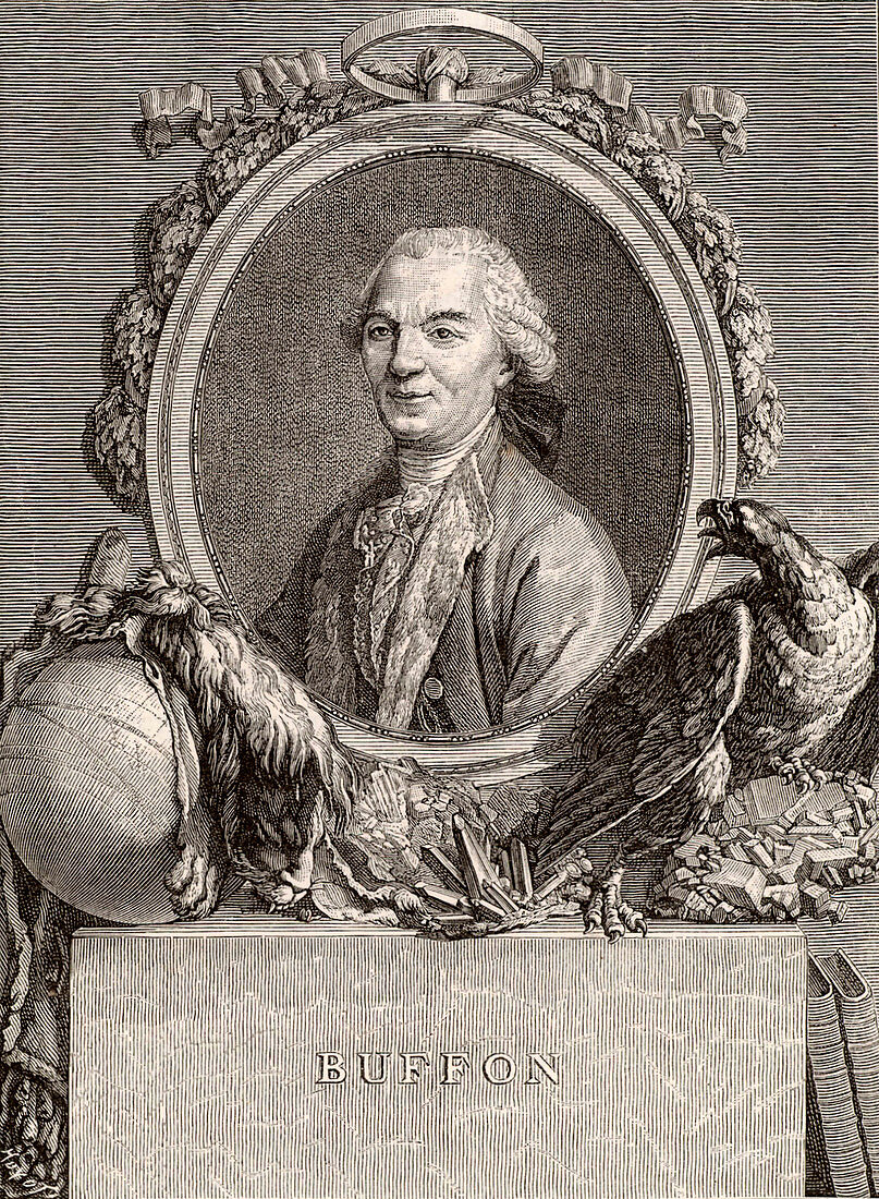 Leclerc de Buffon,French naturalist