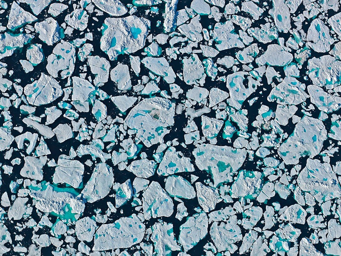 Sea ice floes,Greenland Sea