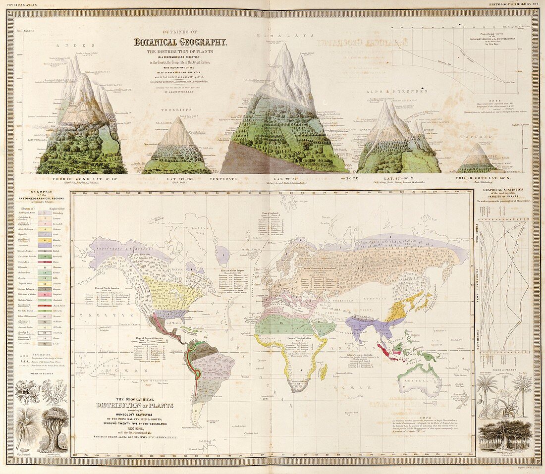 Global botanical geography,1840s