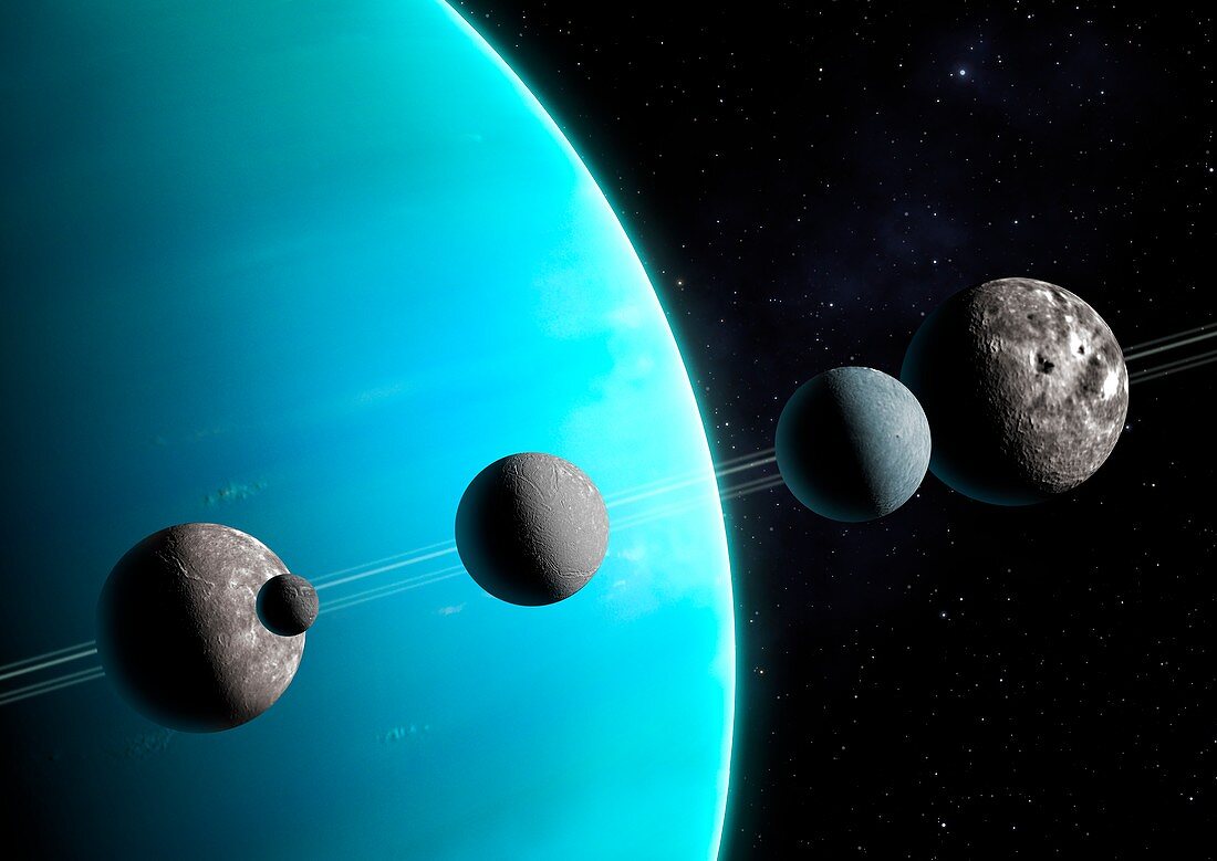 Artwork comparing the moons of Uranus