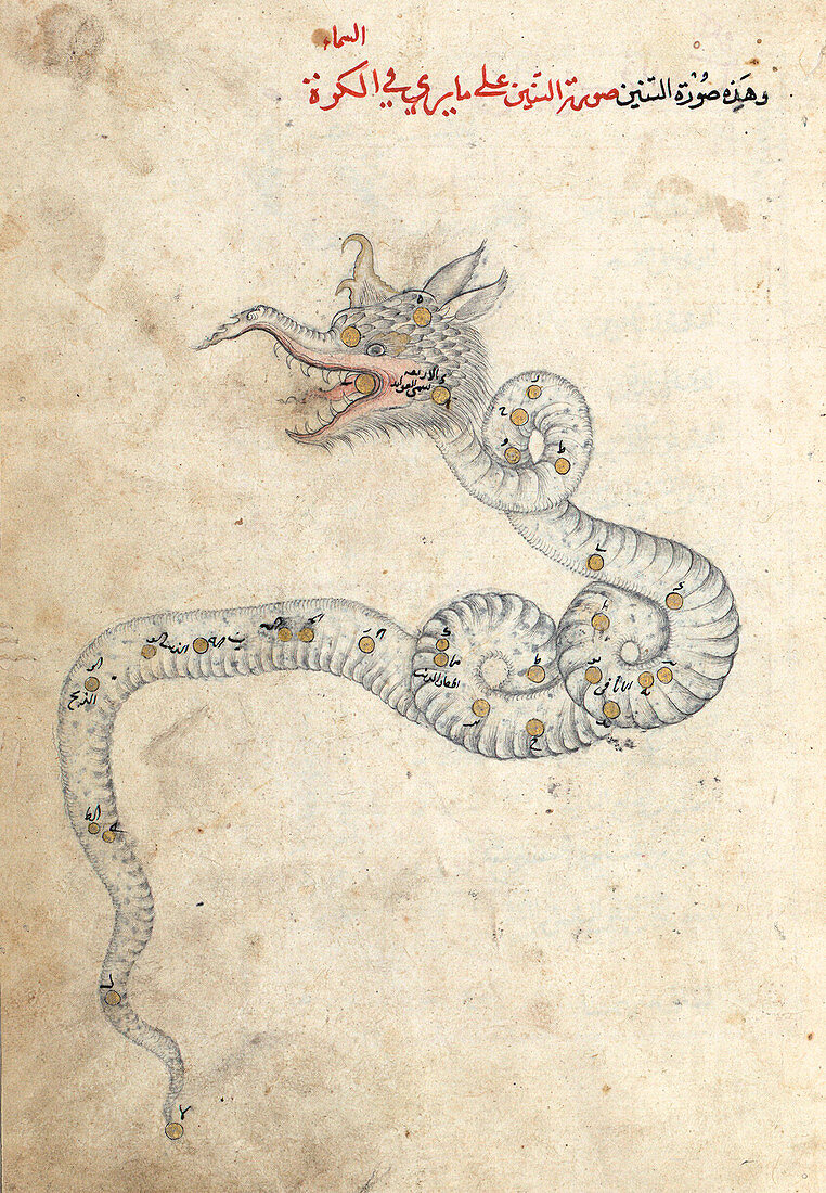 Draco constellation,15th century