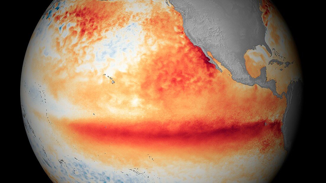 El Nino sea temperatures,October 2015