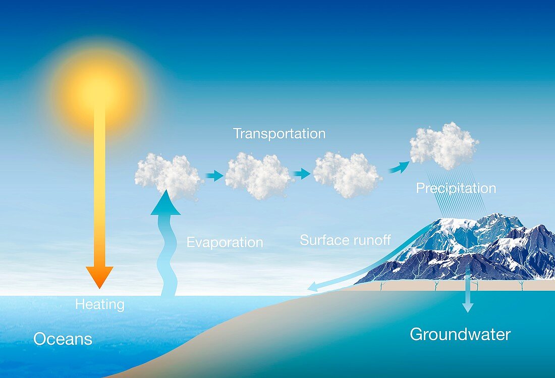 Water cycle,illustration