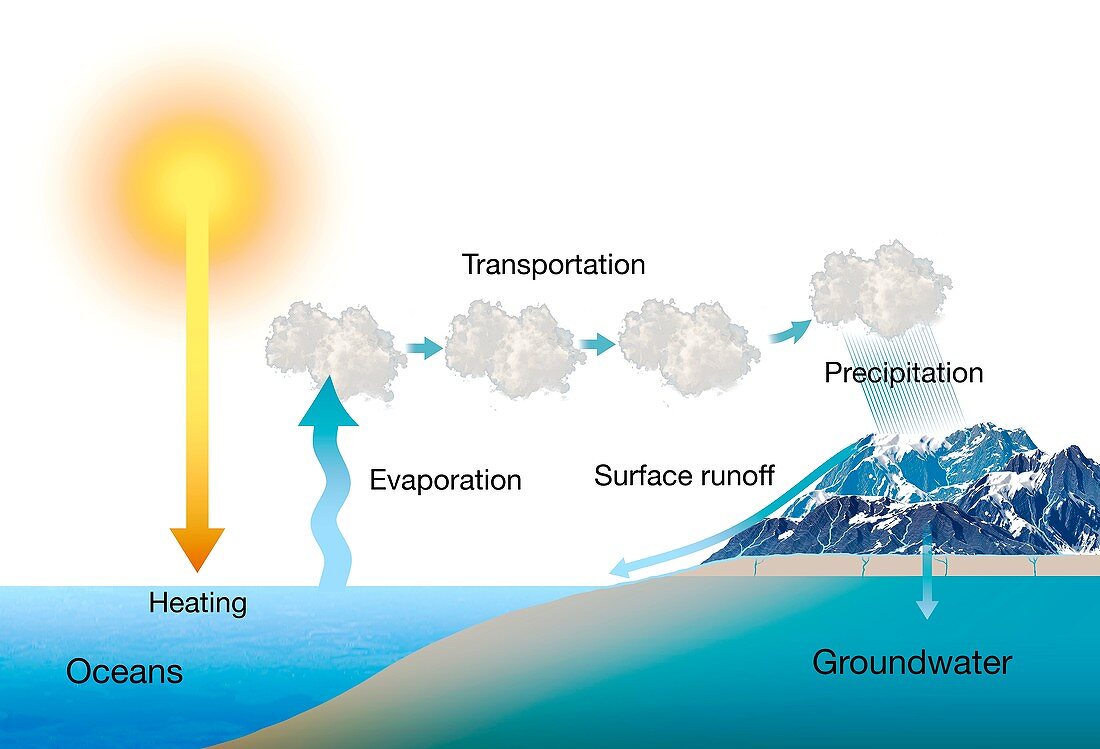 Water cycle,illustration
