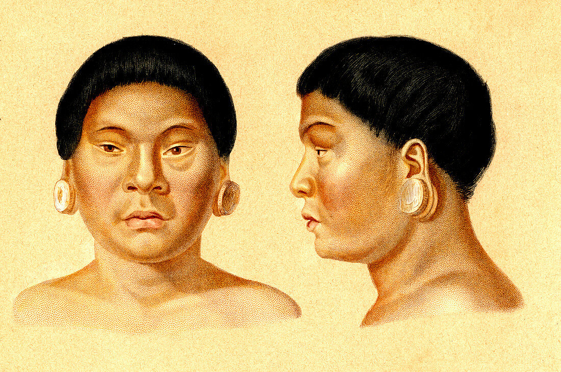 Botocudo man,19th Century illustration