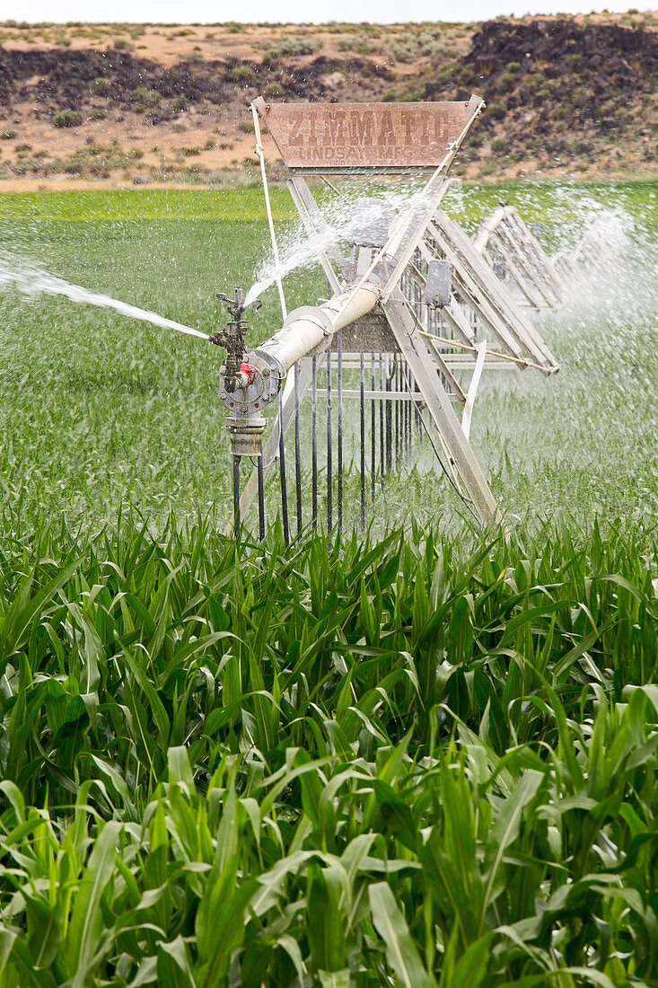 Crop irrigation,Idaho,USA