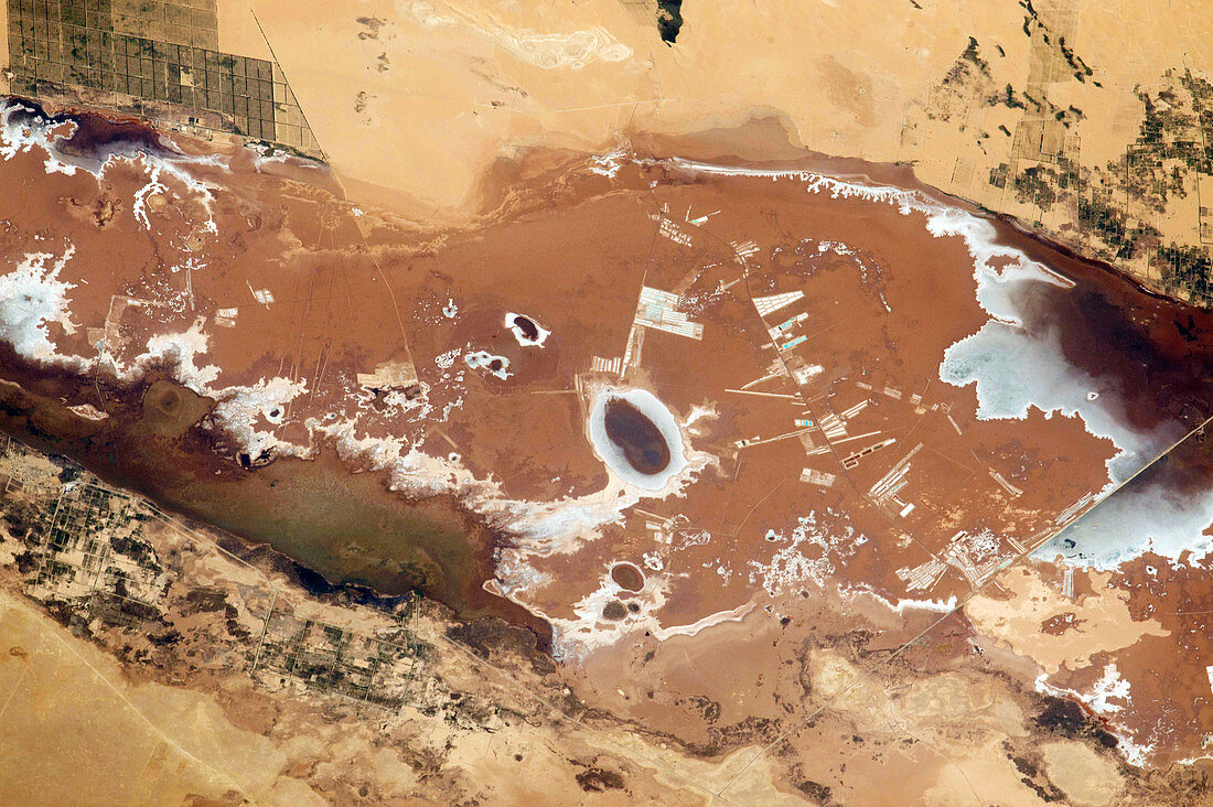 Siwa Oasis,Egypt,ISS image