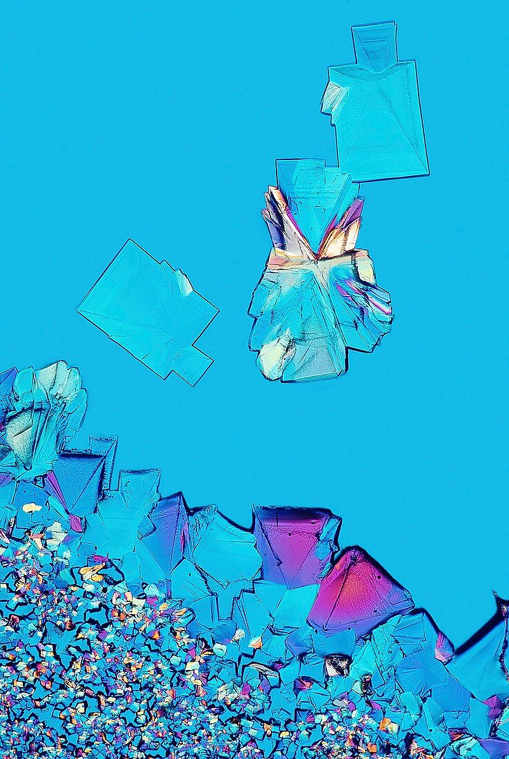 Refined sugar,polarised light microscopy