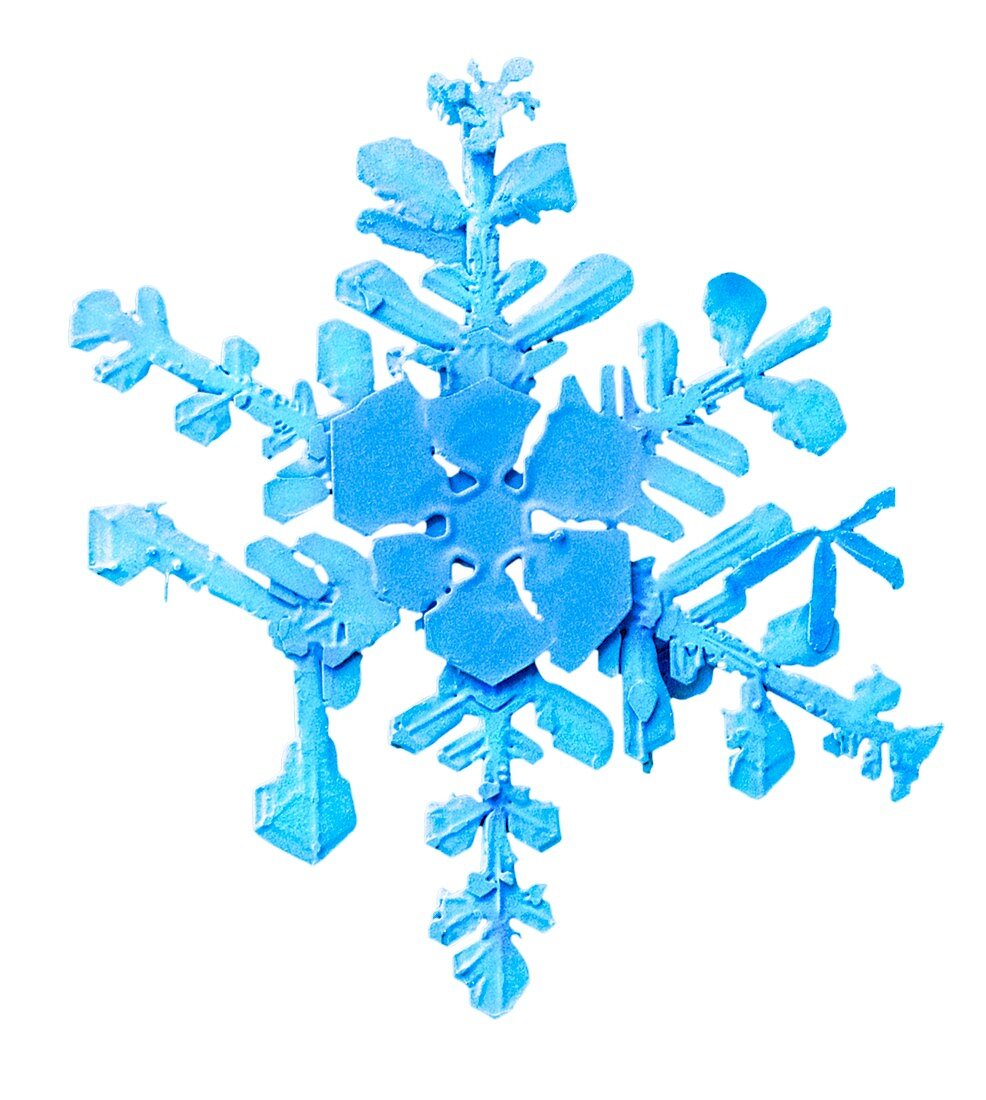 Snowflake,low-temperature SEM