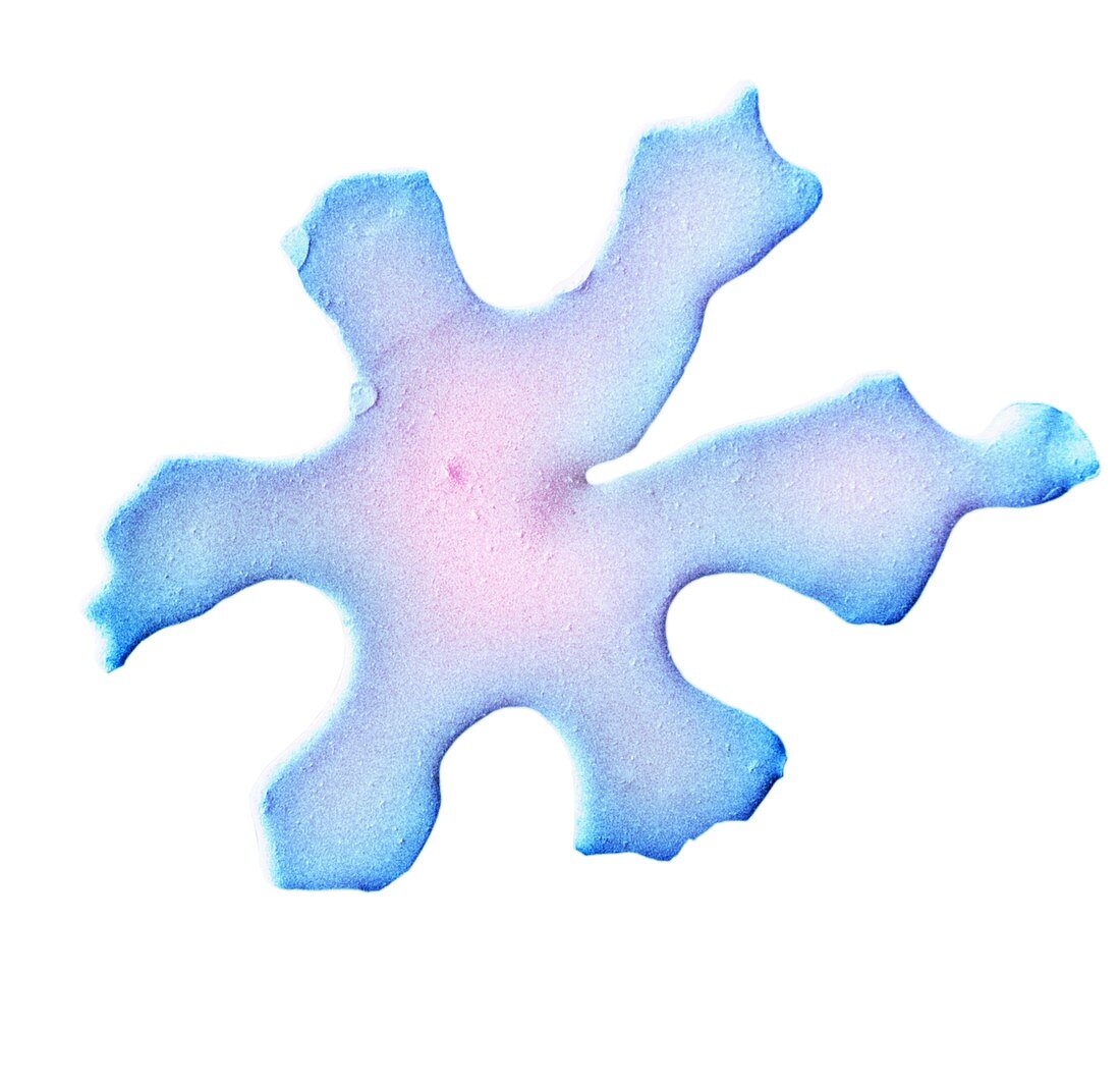 Snowflake,low-temperature SEM