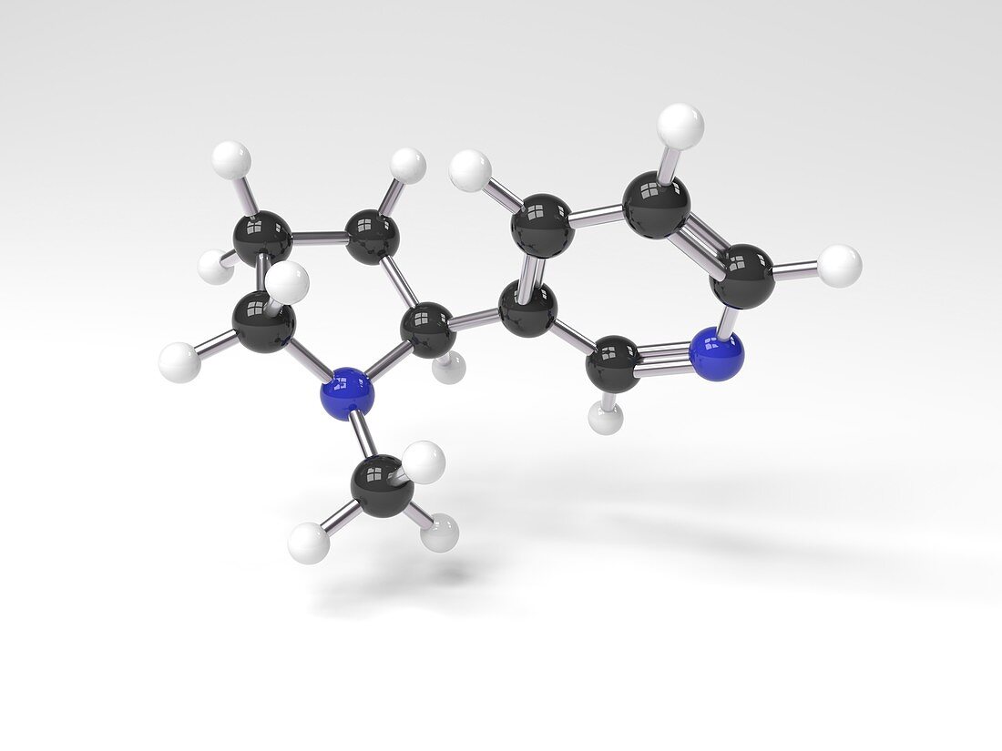 Nicotine molecule,Illustration