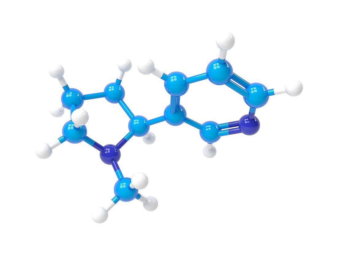 Nicotine molecule,Illustration