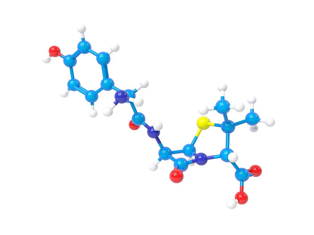 Amoxicillin molecule,Illustration