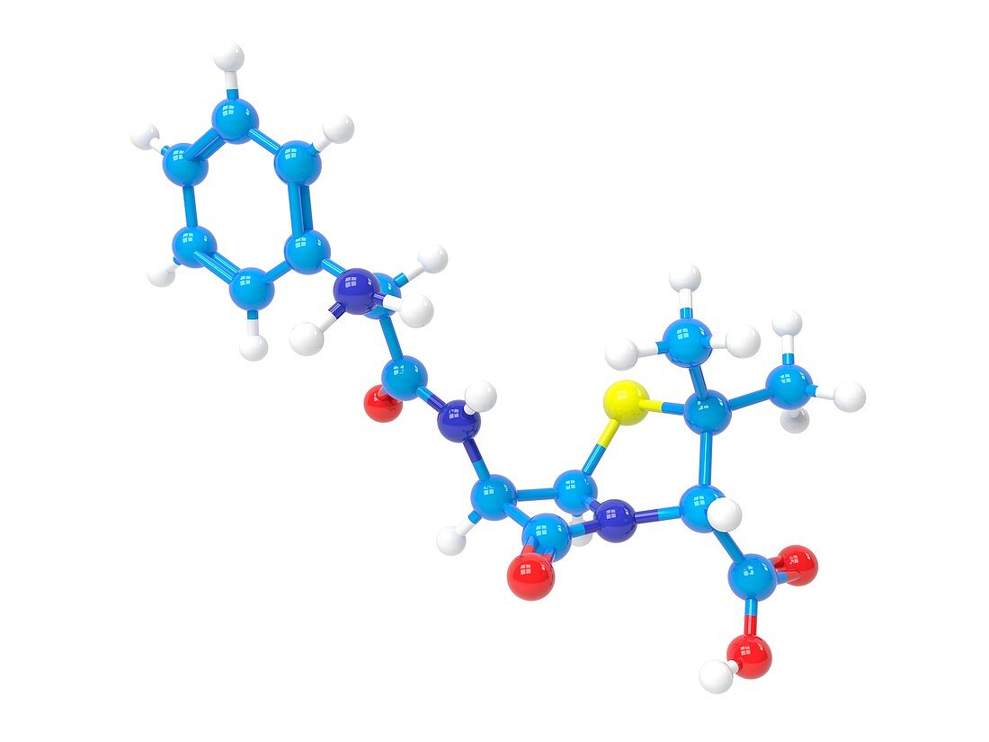 Ampicillin molecule,Illustration