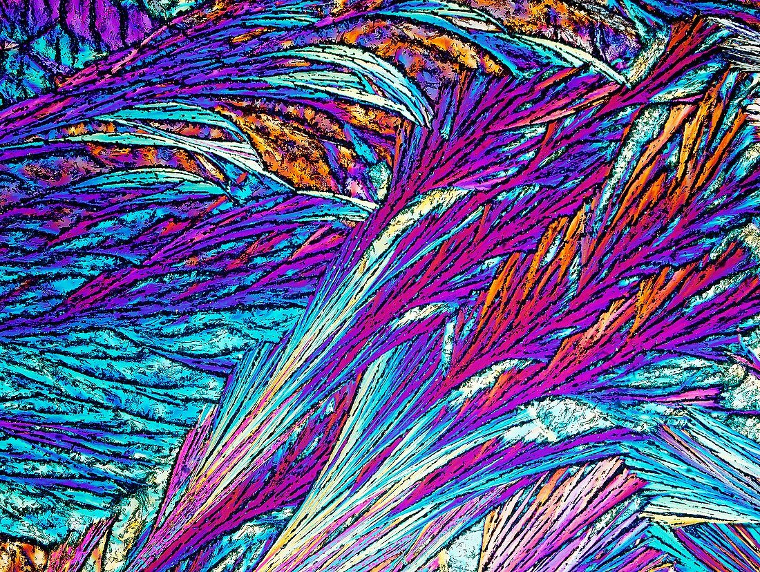 Palmitic acid crystals,light micrograph