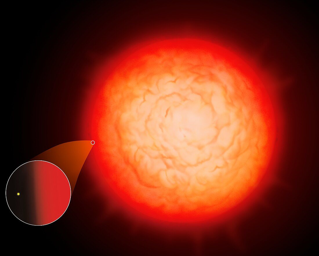 Largest star UV Scuti compared to Sun