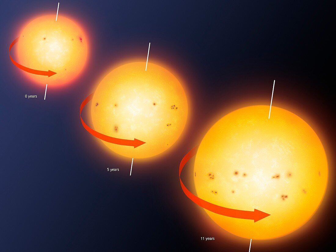 Artwork showing sunspot cycle