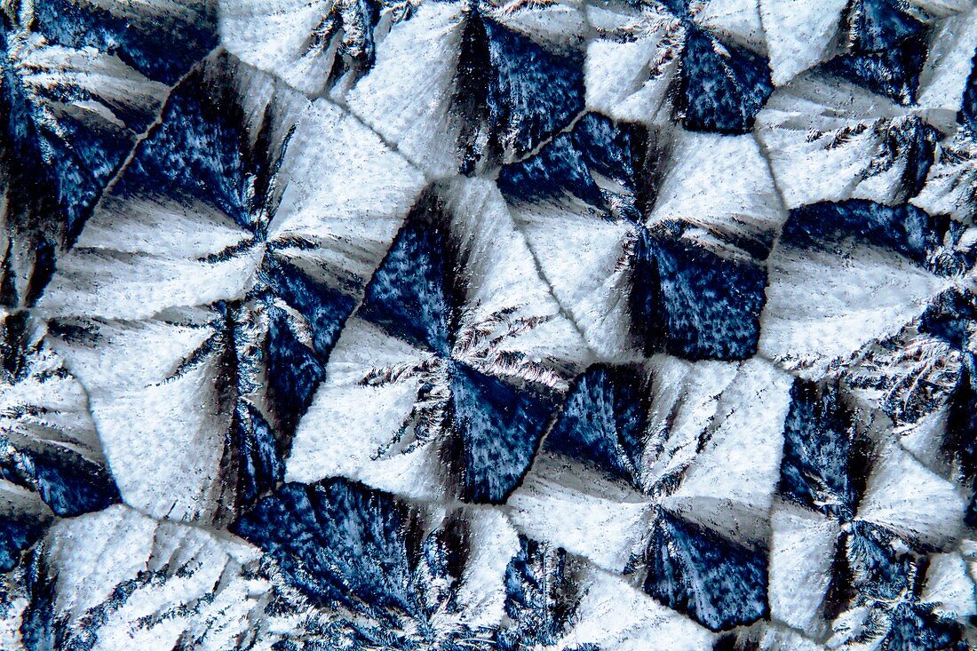 Lactose crystals,light micrograph