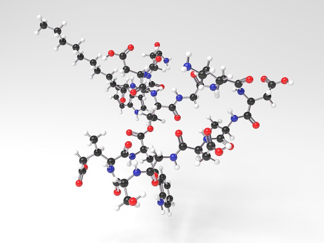 Daptomycin antibiotic molecule