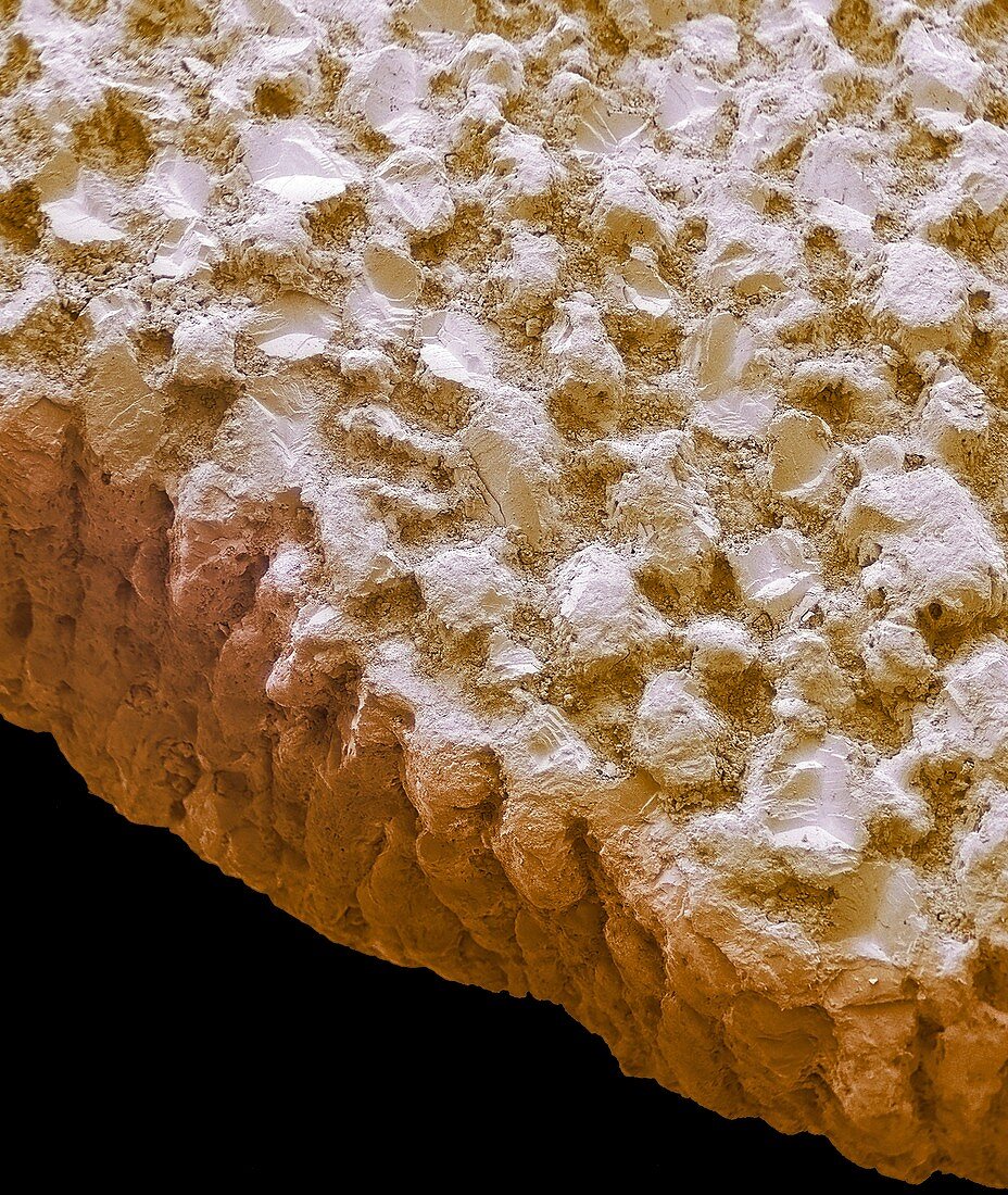 Fossil Dinosaur eggshell,SEM