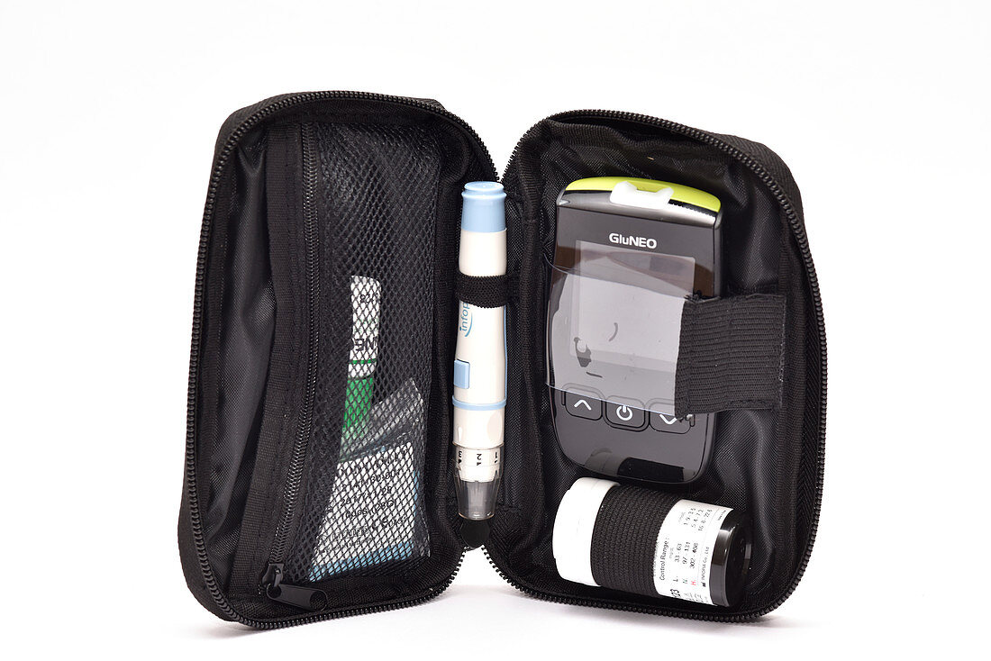 Blood glucose monitor kit