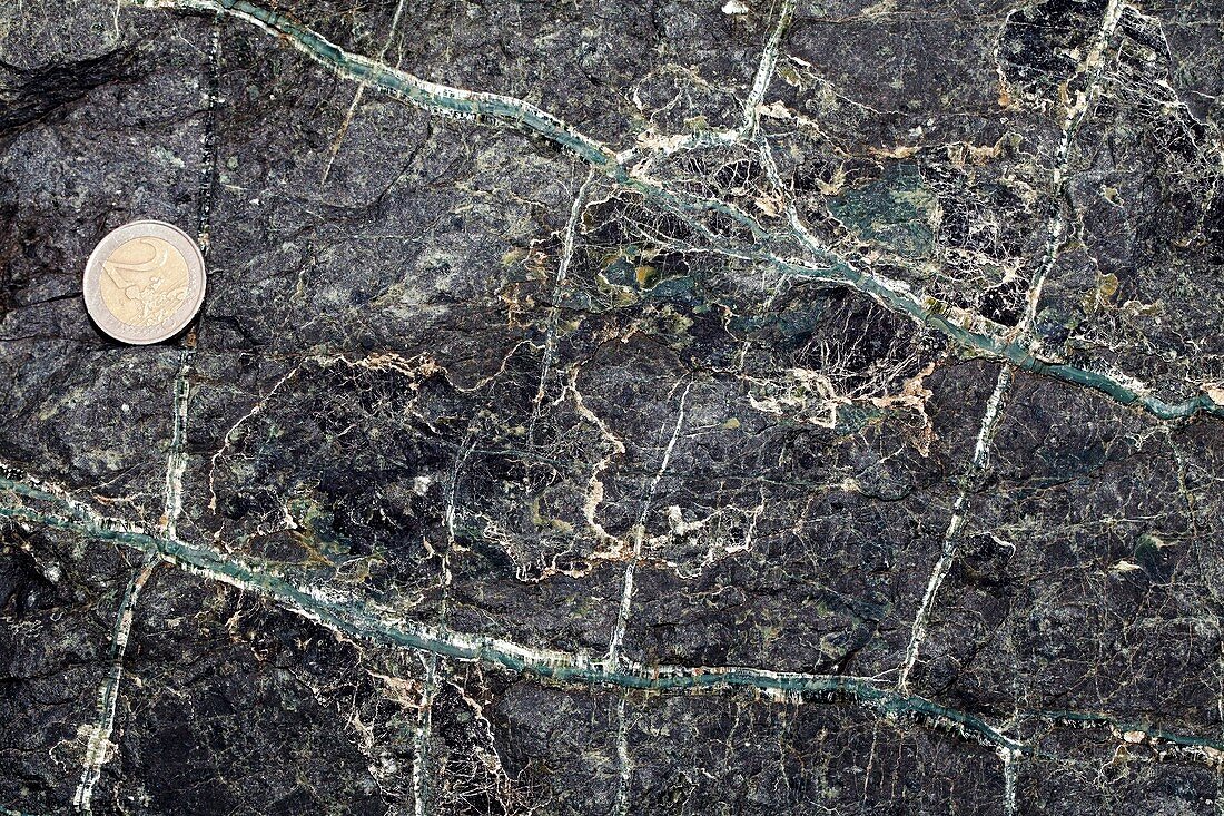 Asbestos veins in serpentinite