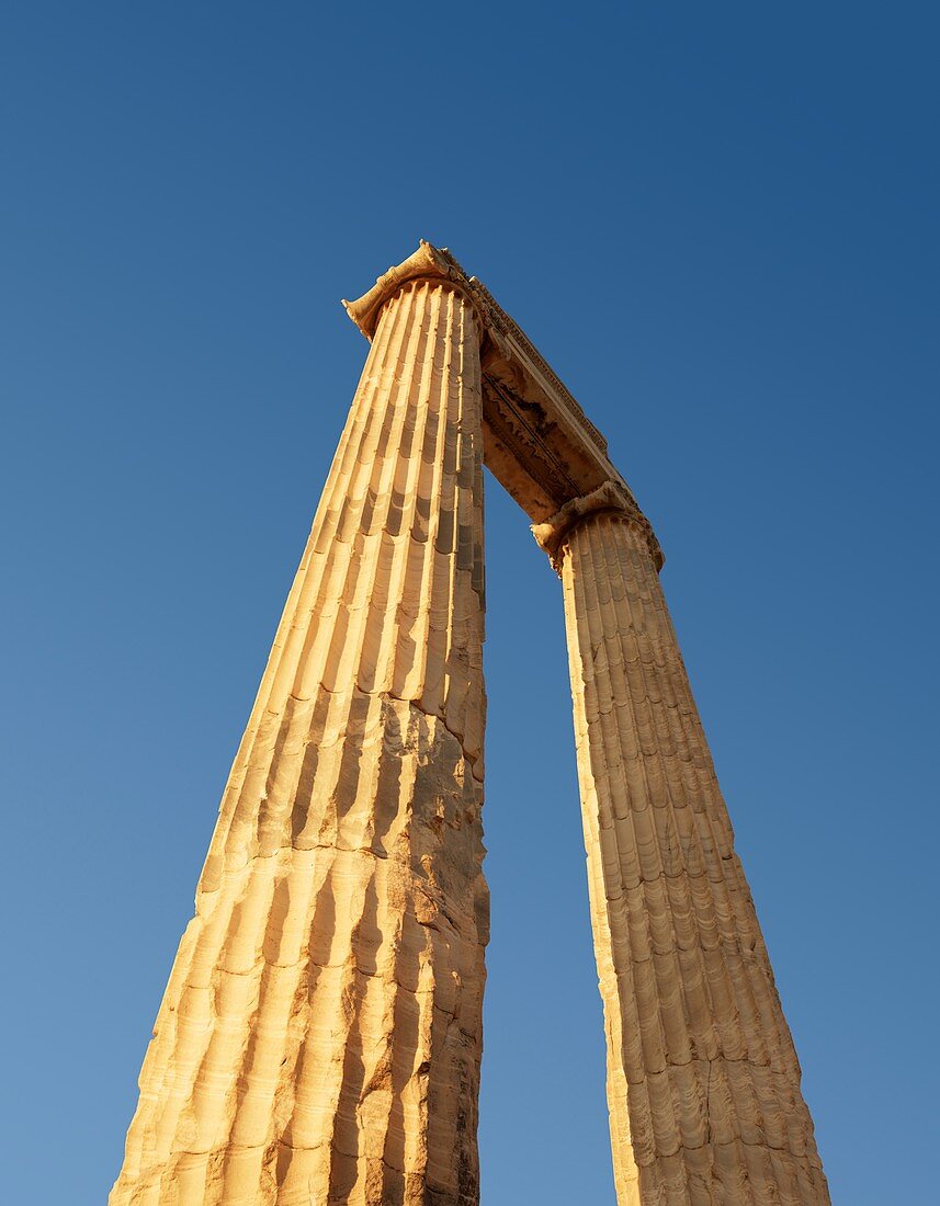 Temple of Apollo,Didyma