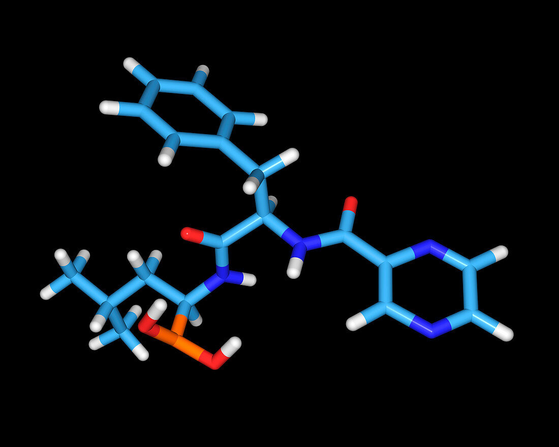 Bortezomib cancer drug molecule