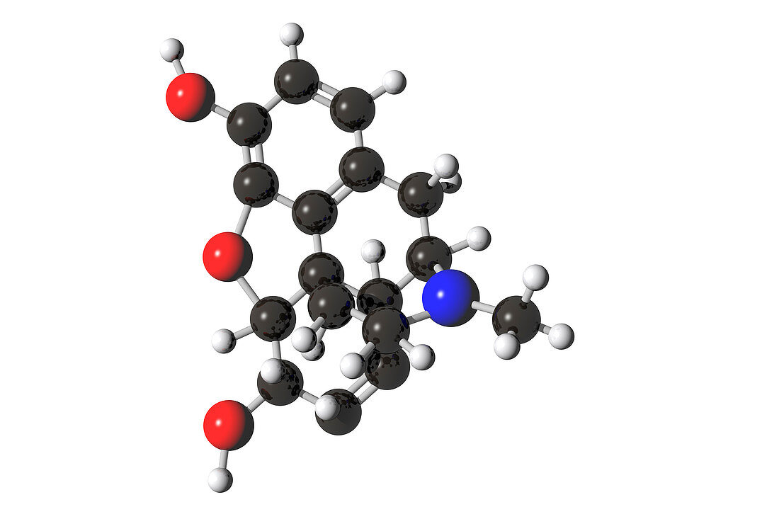 Morphine Molecule,illustration