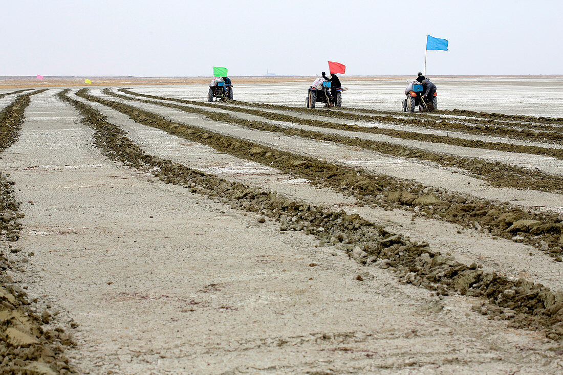 Desertification prevention,China