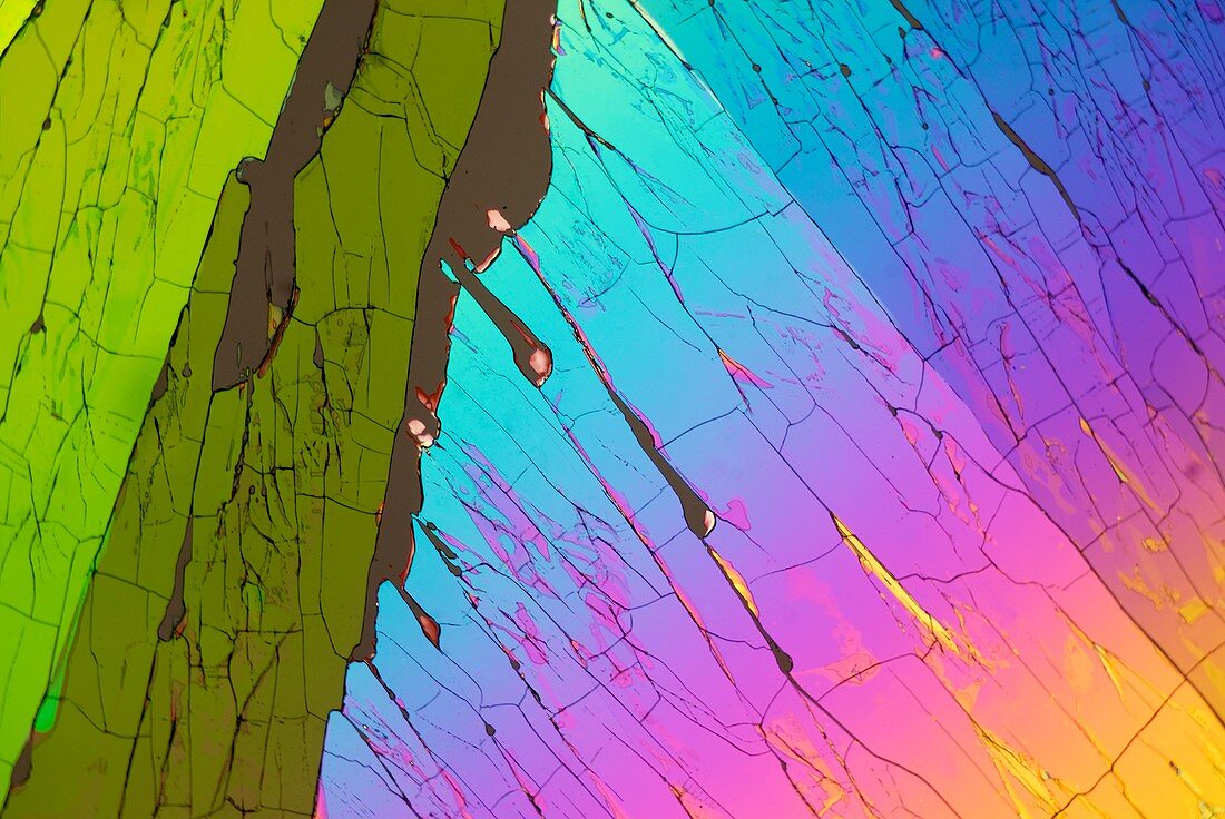 Acetanelide crystals,light micrograph
