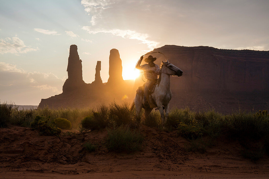 Cowboy,Arizona,USA