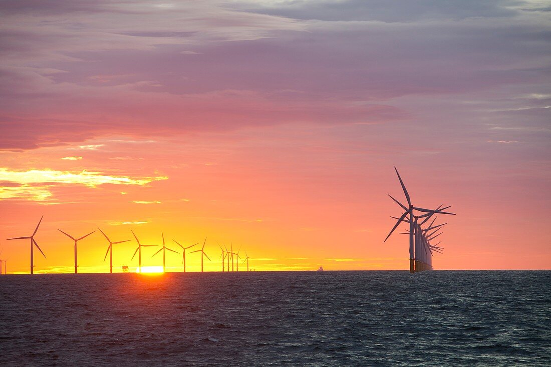 The Walney Offshore windfarm