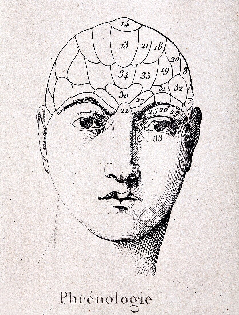 1838 Phrenology Diagram of head