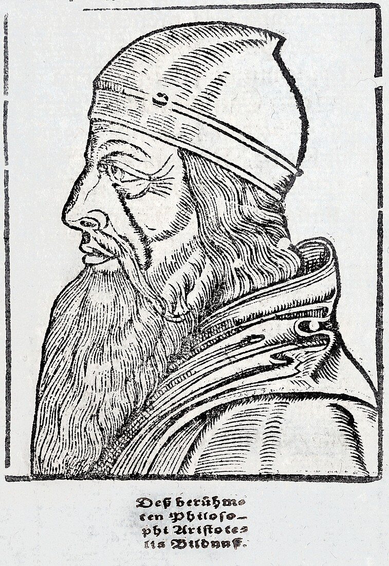 1544 Aristotle Greek Philosopher Portrait