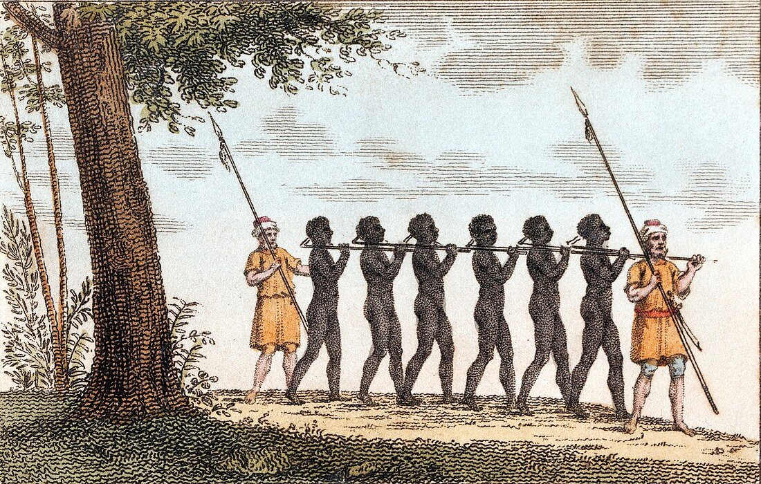 1830 Slave Caravan on the way to Coast