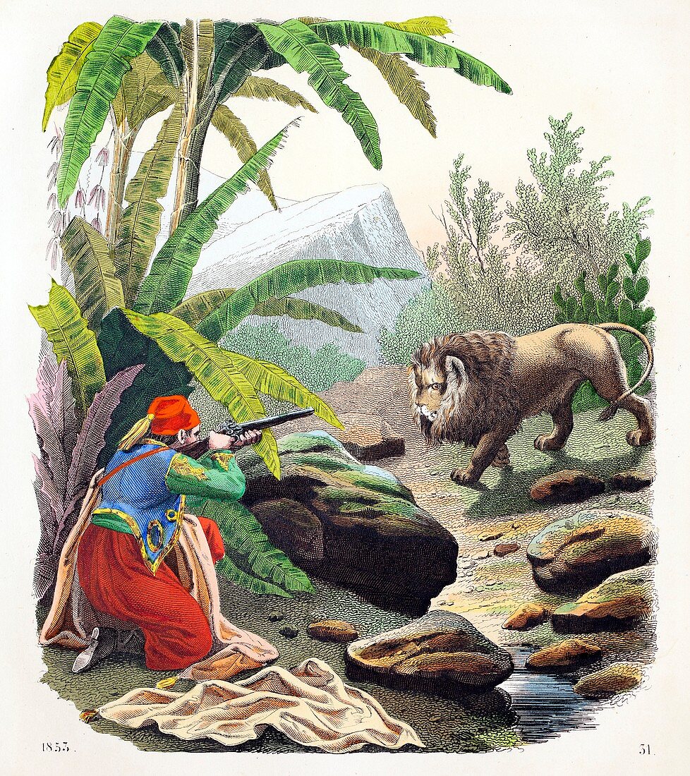 1853 Hunting the extinct Barbary Lion